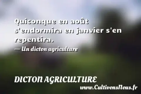 Quiconque en août s endormira en janvier s en repentira. - Un dicton agriculture DICTON AGRICULTURE