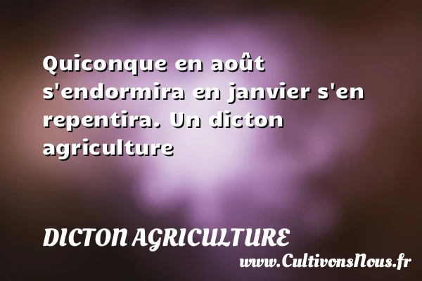 Quiconque en août s’endormira en janvier s’en repentira. - Dicton agriculture