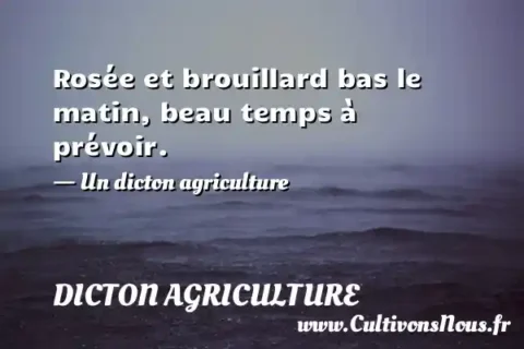 Rosée et brouillard bas le matin, beau temps à prévoir. - Un dicton agriculture DICTON AGRICULTURE