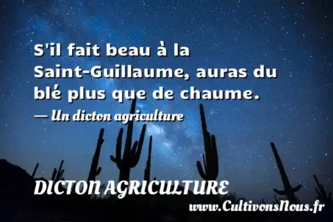 S il fait beau à la Saint-Guillaume, auras du blé plus que de chaume. - Un dicton agriculture DICTON AGRICULTURE