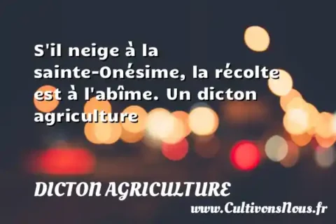 S il neige à la sainte-Onésime, la récolte est à l abîme. Un dicton agriculture DICTON AGRICULTURE