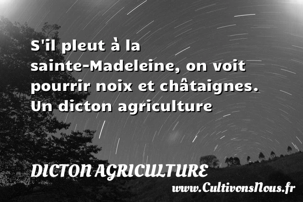 S’il pleut à la sainte-Madeleine, on voit pourrir noix et - Dicton agriculture