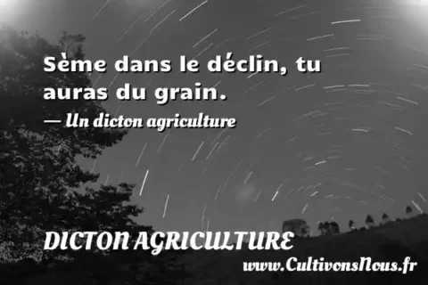 Sème dans le déclin, tu auras du grain. - Un dicton agriculture DICTON AGRICULTURE