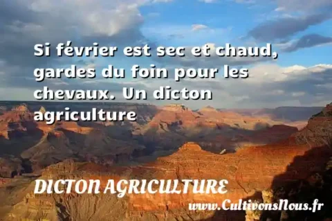 Si février est sec et chaud, gardes du foin pour les chevaux. Un dicton agriculture DICTON AGRICULTURE