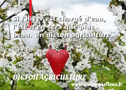 Si l hiver est chargé d eau, l été n en sera que plus beau. Un dicton agriculture DICTON AGRICULTURE