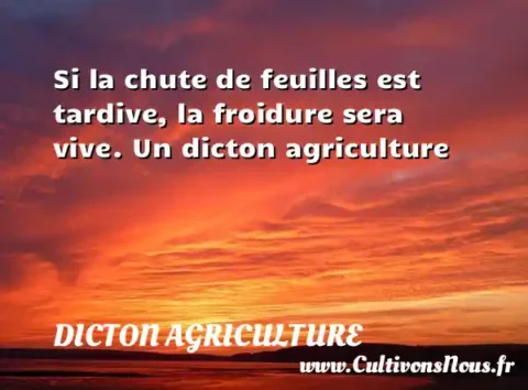 Si la chute de feuilles est tardive, la froidure sera vive. Un dicton agriculture DICTON AGRICULTURE