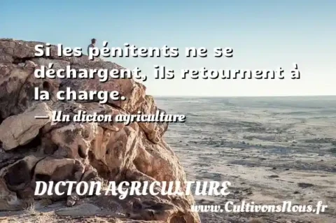 Si les pénitents ne se déchargent, ils retournent à la charge. - Un dicton agriculture DICTON AGRICULTURE