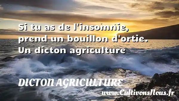 Si tu as de l insomnie, prend un bouillon d ortie. Un dicton agriculture DICTON AGRICULTURE