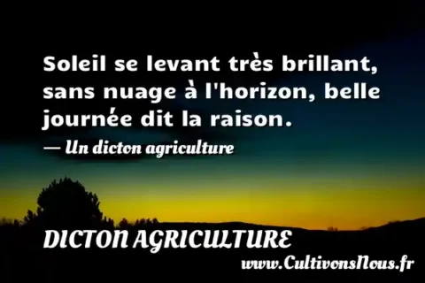 Soleil se levant très brillant, sans nuage à l horizon, belle journée dit la raison. - Un dicton agriculture DICTON AGRICULTURE