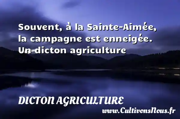 Souvent, à la Sainte-Aimée, la campagne est enneigée. Un dicton agriculture DICTON AGRICULTURE