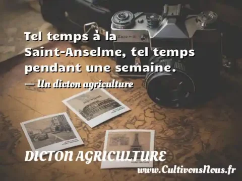 Tel temps à la Saint-Anselme, tel temps pendant une semaine. - Un dicton agriculture DICTON AGRICULTURE