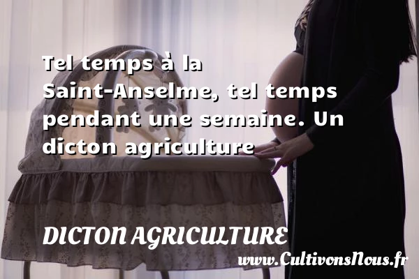 Tel temps à la Saint-Anselme, tel temps pendant - Dicton agriculture