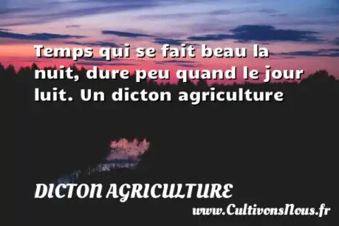 Temps qui se fait beau la nuit, dure peu quand le jour luit. Un dicton agriculture DICTON AGRICULTURE