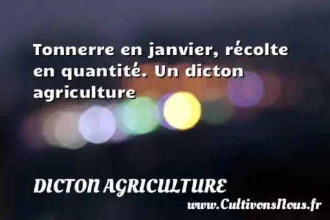 Tonnerre en janvier, récolte en quantité. Un dicton agriculture DICTON AGRICULTURE
