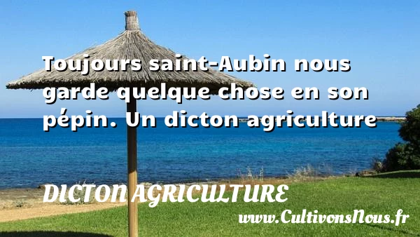 Toujours saint-Aubin nous garde quelque chose en son - Dicton agriculture