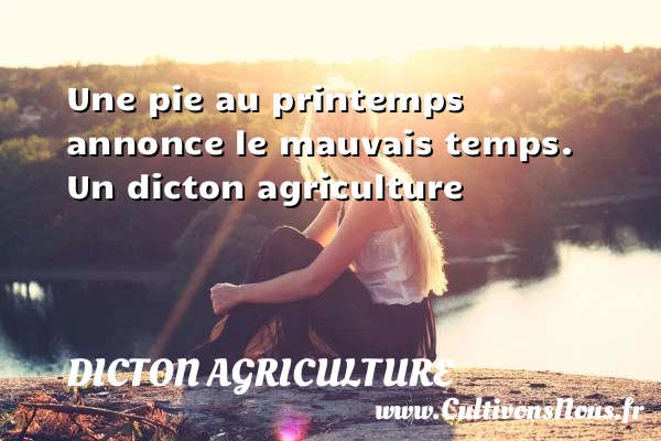 Une pie au printemps annonce le mauvais temps. - Dicton agriculture