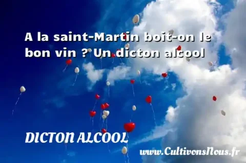 A la saint-Martin boit-on le bon vin ? Un dicton alcool DICTON ALCOOL
