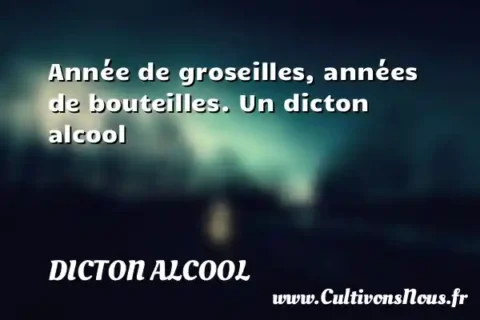 Année de groseilles, années de bouteilles. Un dicton alcool DICTON ALCOOL