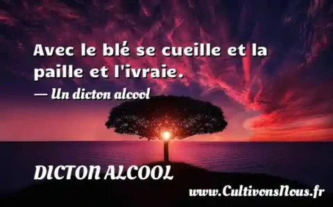 Avec le blé se cueille et la paille et l ivraie. - Un dicton alcool DICTON ALCOOL