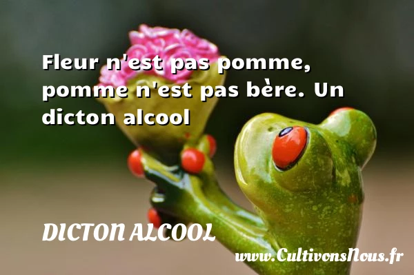 Fleur n’est pas pomme, pomme n’est pas bère. - Dicton alcool
