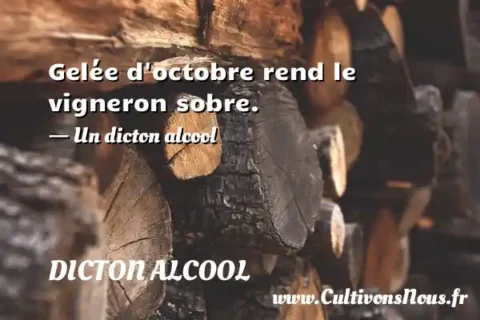 Gelée d octobre rend le vigneron sobre. - Un dicton alcool DICTON ALCOOL