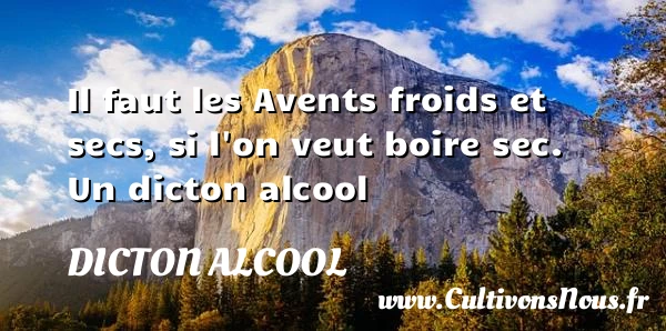 Il faut les Avents froids et secs, si - Dicton alcool