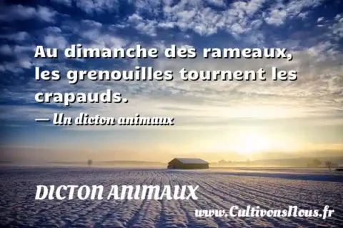 Au dimanche des rameaux, les grenouilles tournent les crapauds. - Un dicton animaux DICTON ANIMAUX