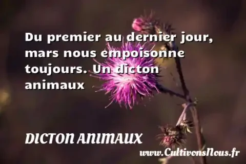 Du premier au dernier jour, mars nous empoisonne toujours. Un dicton animaux DICTON ANIMAUX