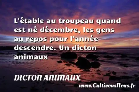 L étable au troupeau quand est né décembre, les gens au repos pour l année descendre. Un dicton animaux DICTON ANIMAUX
