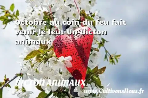 Octobre au coin du feu fait venir le leu. Un dicton animaux DICTON ANIMAUX