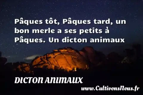 Pâques tôt, Pâques tard, un bon merle a ses petits à Pâques. Un dicton animaux DICTON ANIMAUX