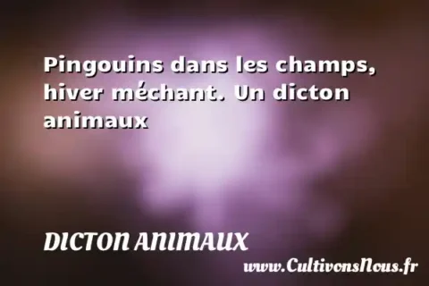 Pingouins dans les champs, hiver méchant. Un dicton animaux DICTON ANIMAUX