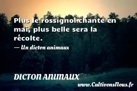 Plus le rossignol chante en mai, plus belle sera la récolte. - Un dicton animaux DICTON ANIMAUX