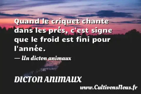 Quand le criquet chante dans les prés, c est signe que le froid est fini pour l année. - Un dicton animaux DICTON ANIMAUX