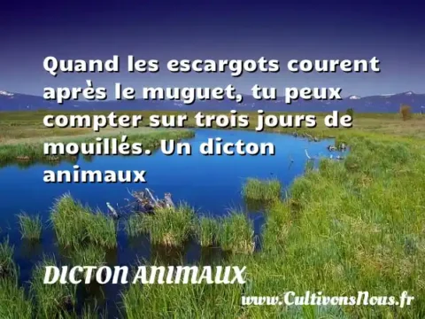 Quand les escargots courent après le muguet, tu peux compter sur trois jours de mouillés. Un dicton animaux DICTON ANIMAUX