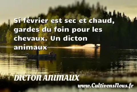 Si février est sec et chaud, gardes du foin pour les chevaux. Un dicton animaux DICTON ANIMAUX