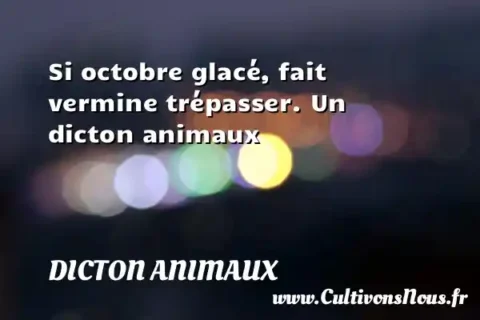 Si octobre glacé, fait vermine trépasser. Un dicton animaux DICTON ANIMAUX
