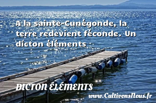 A la sainte-Cunégonde, la terre redevient féconde. - Dicton éléments