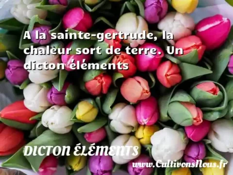 A la sainte-gertrude, la chaleur sort de terre. Un dicton éléments DICTON ÉLÉMENTS