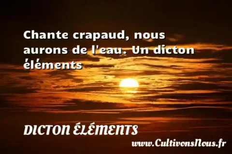 Chante crapaud, nous aurons de l eau. Un dicton éléments DICTON ÉLÉMENTS