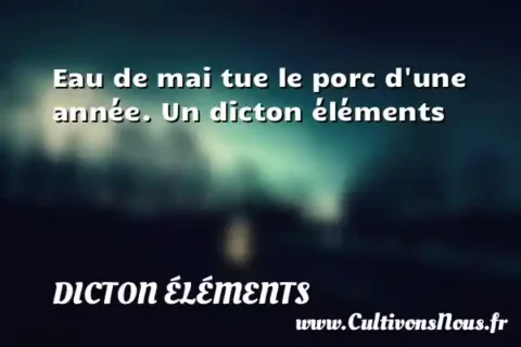 Eau de mai tue le porc d une année. Un dicton éléments DICTON ÉLÉMENTS