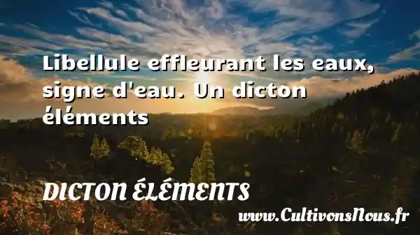 Libellule effleurant les eaux, signe d eau. Un dicton éléments DICTON ÉLÉMENTS
