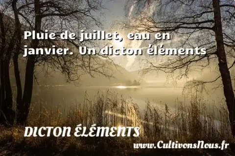 Pluie de juillet, eau en janvier. Un dicton éléments DICTON ÉLÉMENTS