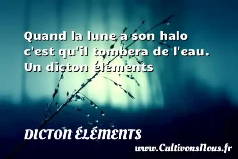 Quand la lune a son halo c est qu il tombera de l eau. Un dicton éléments DICTON ÉLÉMENTS