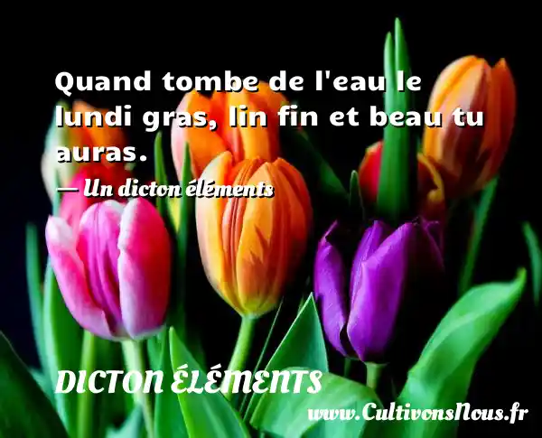 Quand tombe de l eau le lundi gras, lin fin et beau tu auras. - Un dicton éléments DICTON ÉLÉMENTS