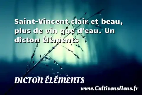 Saint-Vincent clair et beau, plus de vin que d eau. Un dicton éléments DICTON ÉLÉMENTS