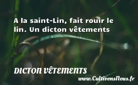A la saint-Lin, fait rouir le lin. Un dicton vêtements DICTON VÊTEMENTS