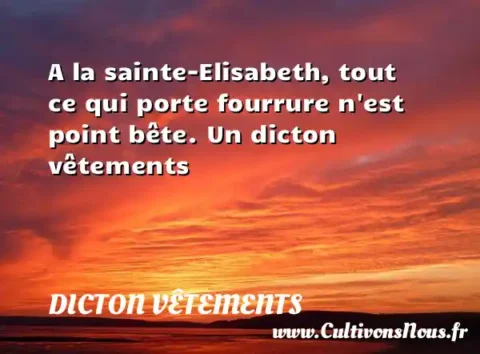 A la sainte-Elisabeth, tout ce qui porte fourrure n est point bête. Un dicton vêtements DICTON VÊTEMENTS