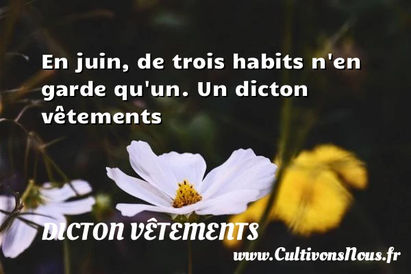 En juin, de trois habits n’en garde qu’un. - Dicton vêtements