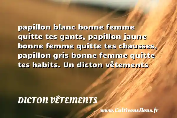 papillon blanc bonne femme quitte tes gants, papillon jaune bonne femme quitte tes chausses, papillon gris bonne femme quitte tes habits. Un dicton vêtements DICTON VÊTEMENTS